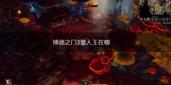 博德之门3蕈人王在哪,第1张