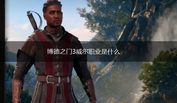 博德之门3威尔职业是什么,第1张