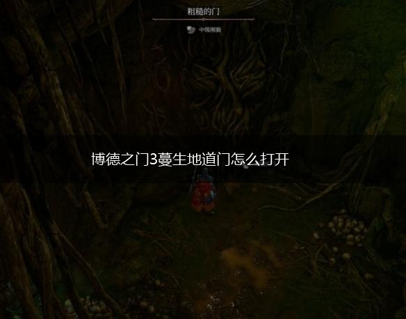 博德之门3蔓生地道门怎么打开,第1张
