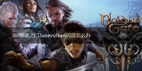 博德之门3usevulkan闪退怎么办,第1张