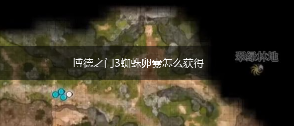 博德之门3蜘蛛卵囊怎么获得,第1张