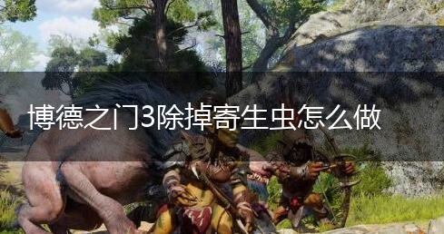 博德之门3除掉寄生虫怎么做,第1张