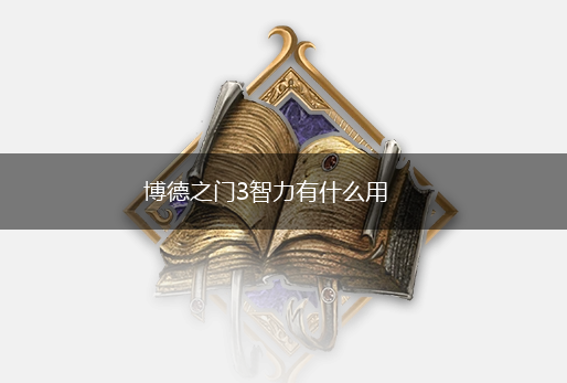 博德之门3智力有什么用,第1张