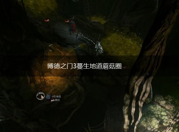 博德之门3蔓生地道蘑菇圈,第1张