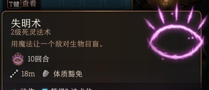 博德之门32环法术怎么选,第3张
