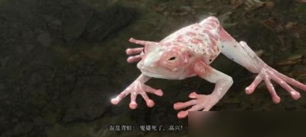 博德之门3混沌蛙奖励怎么获得,第2张
