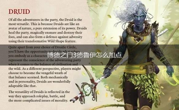 博德之门3德鲁伊怎么加点,第1张