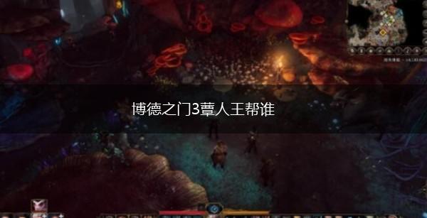 博德之门3蕈人王帮谁,第1张