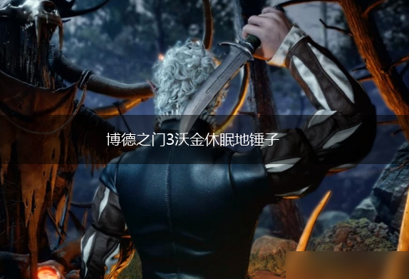 博德之门3沃金休眠地锤子,第1张