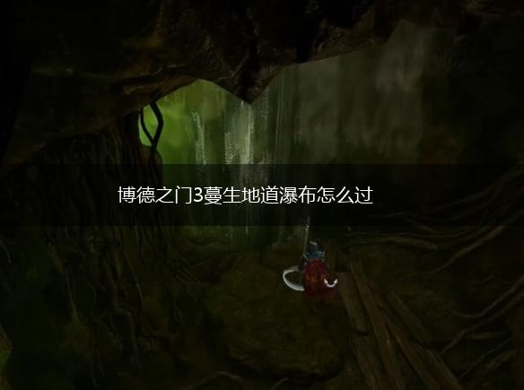 博德之门3蔓生地道瀑布怎么过,第1张