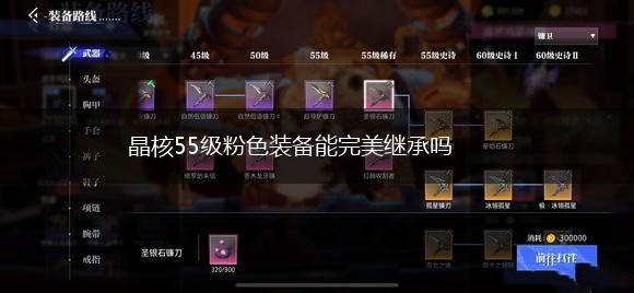 晶核55级粉色装备能完美继承吗,第1张
