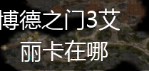 博德之门3艾丽卡在哪,第1张