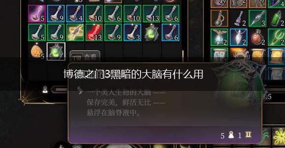 博德之门3黑暗的大脑有什么用,第1张
