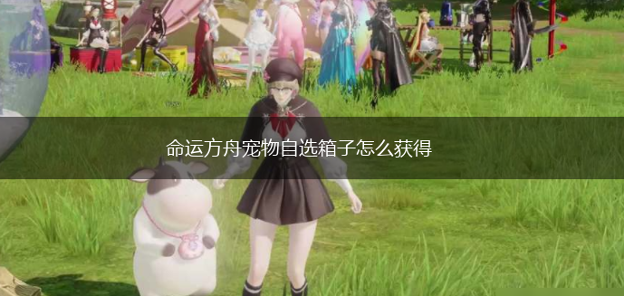 命运方舟宠物自选箱子怎么获得,第1张