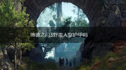 博德之门3野蛮人穿护甲吗,第1张