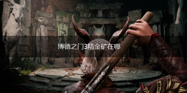 博德之门3精金矿在哪,第1张