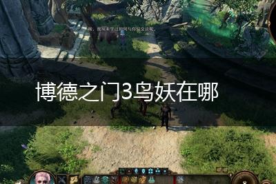 博德之门3鸟妖在哪,第1张