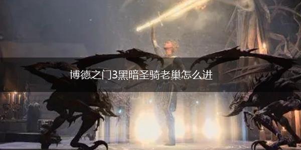 博德之门3黑暗圣骑老巢怎么进,第1张