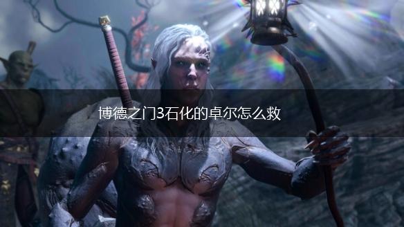 博德之门3石化的卓尔怎么救,第1张
