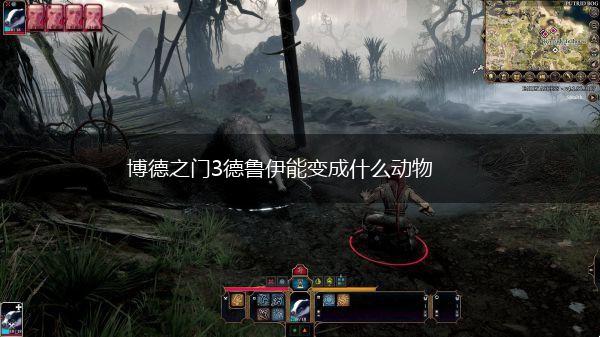博德之门3德鲁伊能变成什么动物,第1张