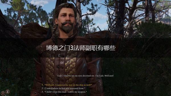 博德之门3法师副职有哪些,第1张