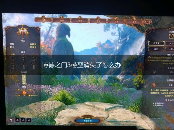 博德之门3模型消失了怎么办,第1张