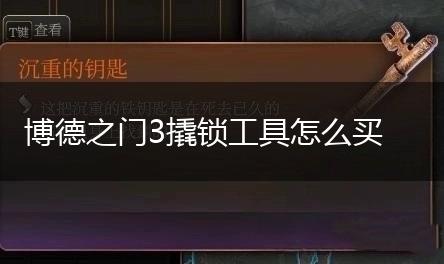 博德之门3撬锁工具怎么买,第1张