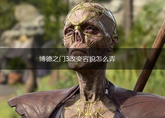 博德之门3改变容貌怎么弄,第1张