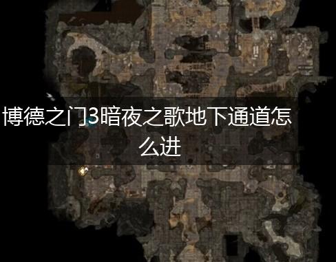 博德之门3暗夜之歌地下通道怎么进,第1张
