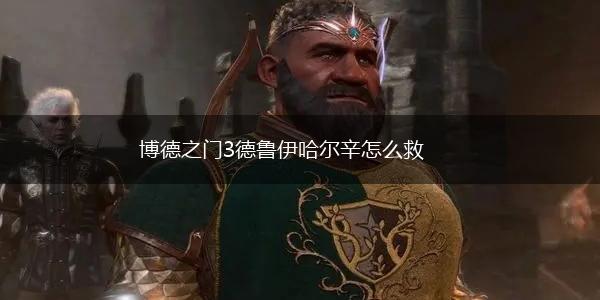 博德之门3德鲁伊哈尔辛怎么救,第1张