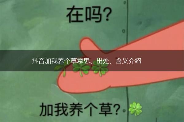 抖音加我养个草意思、出处、含义介绍,第1张