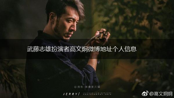 武藤志雄扮演者高文炯微博地址个人信息,第1张