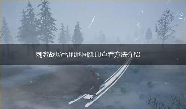 刺激战场雪地地图脚印查看方法介绍,第1张