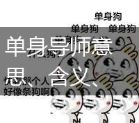 单身导师意思、含义、出处介绍,第1张