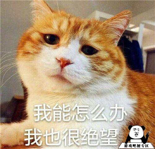 气球式社交意思、出处、含义介绍,第2张