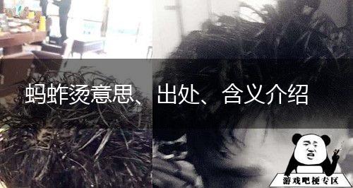 蚂蚱烫意思、出处、含义介绍,第1张