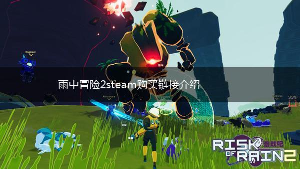 雨中冒险2steam购买链接介绍,第1张