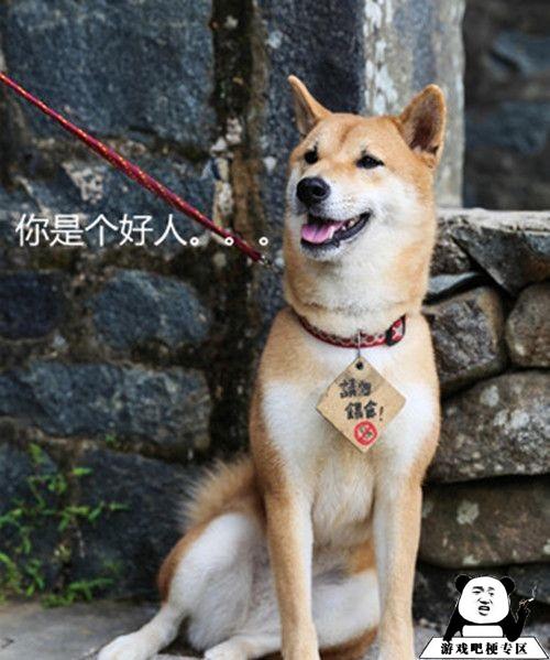 十动然鱼意思、出处、含义介绍,第3张