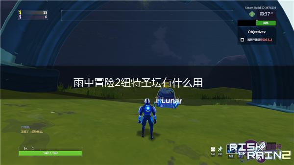 雨中冒险2纽特圣坛有什么用,第1张