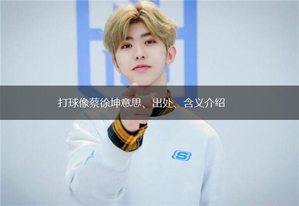 打球像蔡徐坤意思、出处、含义介绍,第1张