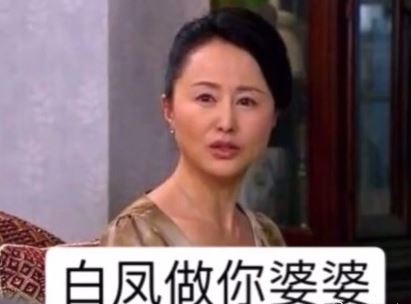 全员恶人家庭意思、出处、含义、表情包,第7张