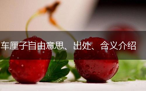 车厘子自由意思、出处、含义介绍,第1张