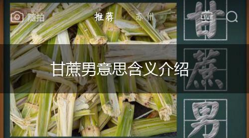 甘蔗男意思含义介绍,第1张