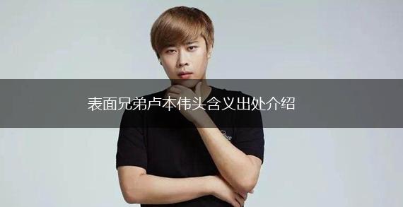 表面兄弟卢本伟头含义出处介绍,第1张