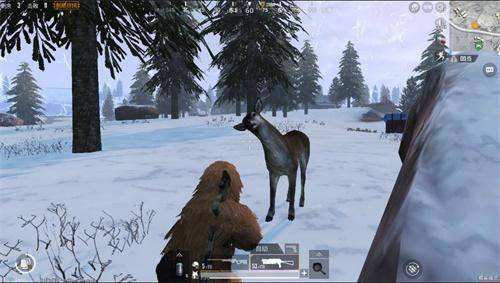 刺激战场极寒模式骑鹿方法介绍,第6张