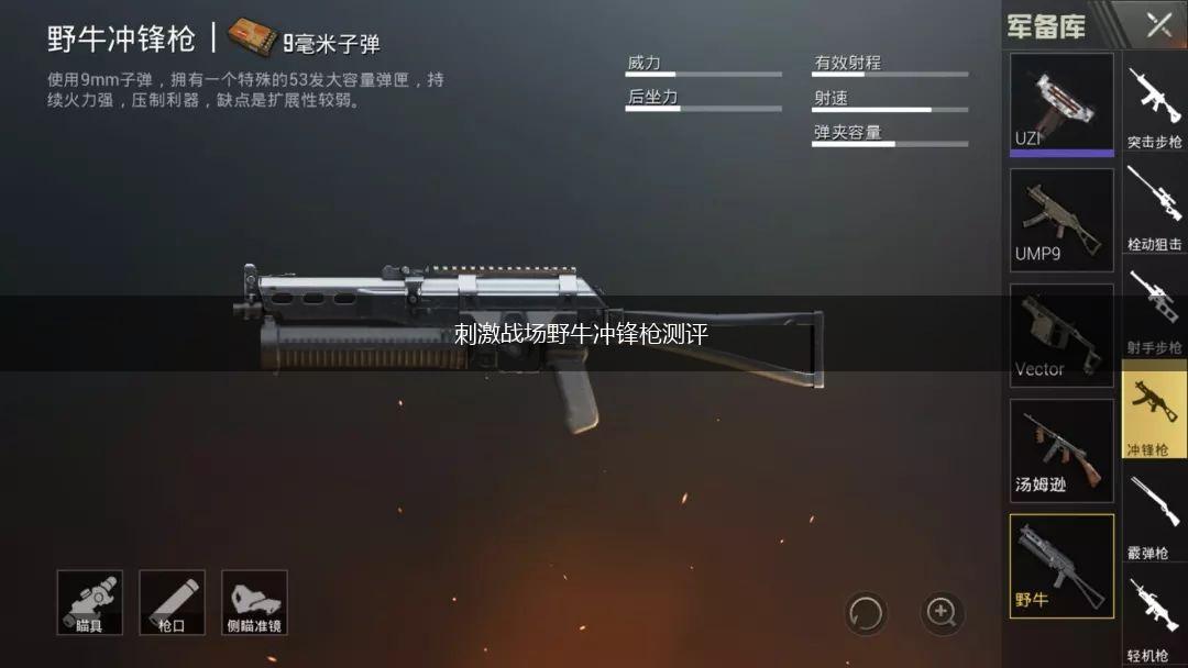 刺激战场野牛冲锋枪测评,第1张