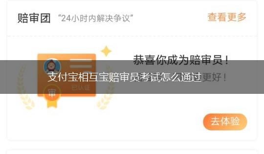 支付宝相互宝赔审员考试怎么通过,第1张
