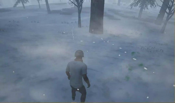 雪地地图利用脚印追逐埋伏方法介绍,第2张