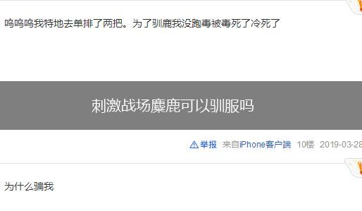 刺激战场麋鹿可以驯服吗,第1张