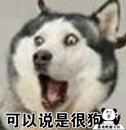 很狗意思、出处、含义介绍,第2张